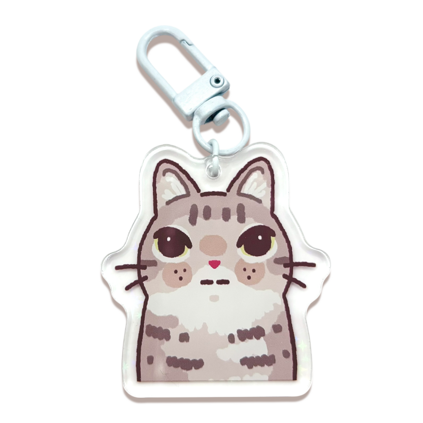 Cat Meme Keychains 4