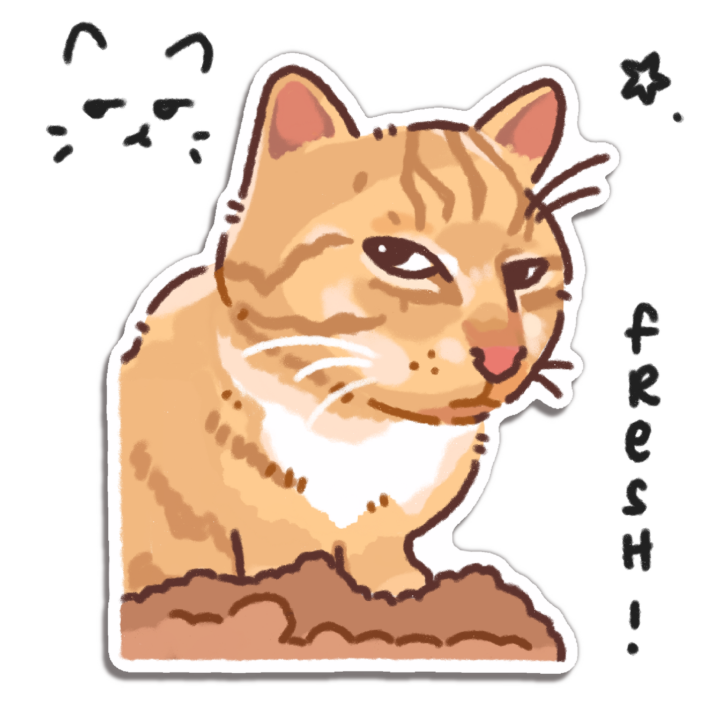 Cat Meme Stickers 2